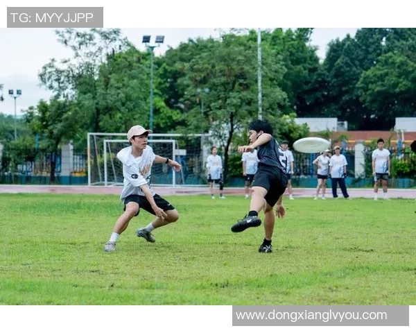 深圳飞盘队引领最新飞盘团队协作排名前十的精彩表现与发展趋势